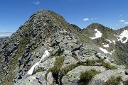 Corno Stella (2620 m) con Montebello, solo, in compagnia degli stambecchi il 22 giugno 2020  - FOTOGALLERY